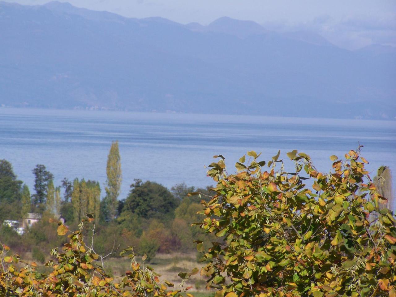 Vila Popovski Ljubaništa 外观 照片